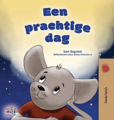 A wonderful Day  -  in Dutch only   (HC)