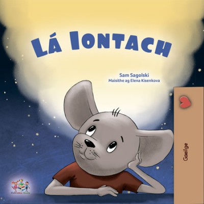 A wonderful Day  -  in Irish only   (PB)